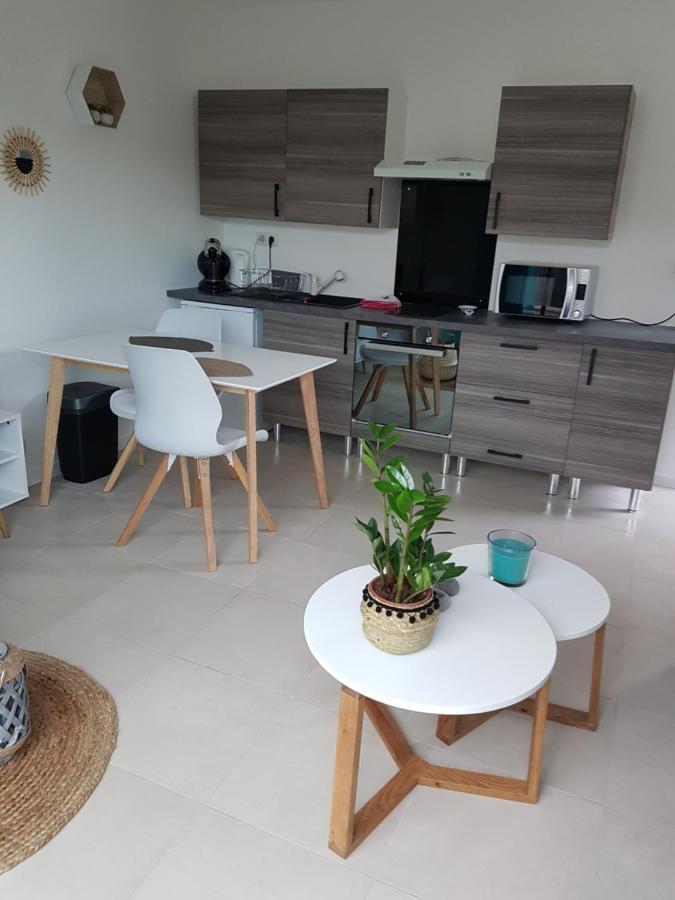 Studio Apartment Le Teich Ngoại thất bức ảnh